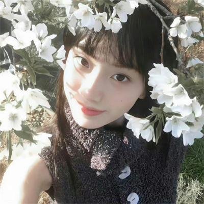 职场菜鸟生存图鉴