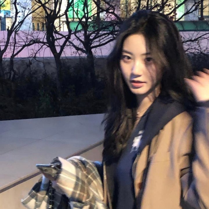 非洲：胜利序幕