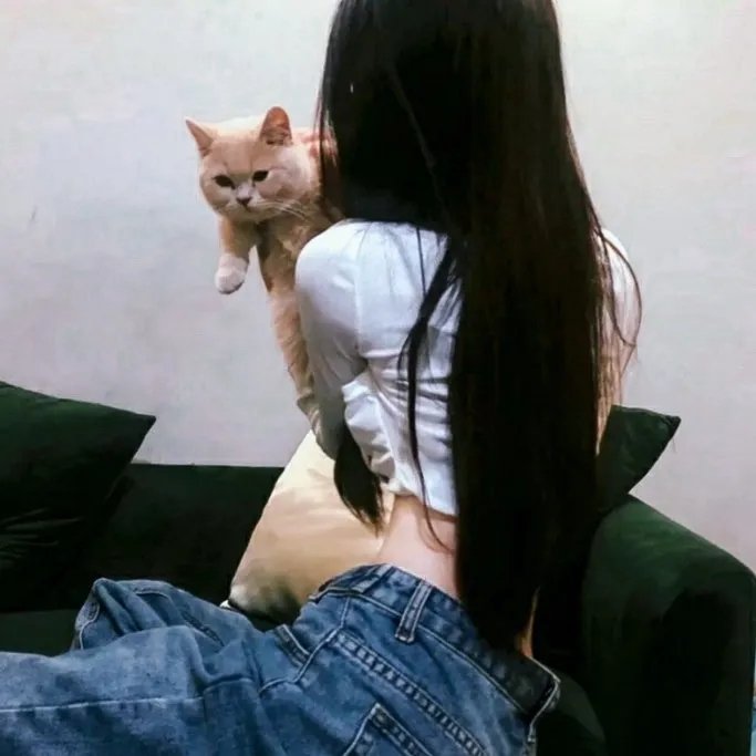 杰里：今天的故事